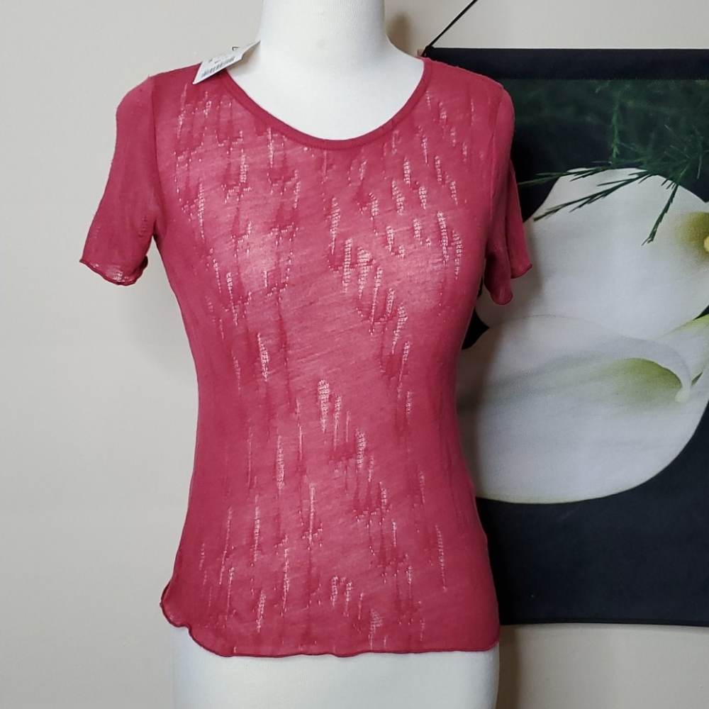 NWT Zara Short Sleeve Semi Sheer Top